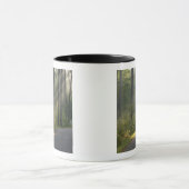 Mug Wilderness Drive, Itasca State Park, (Centre)