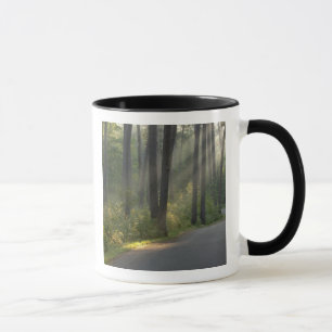 Mug Wilderness Drive, parc d'état d'Itasca,