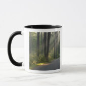 Mug Wilderness Drive, parc d'état d'Itasca, (Gauche)
