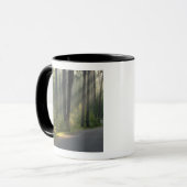 Mug Wilderness Drive, parc d'état d'Itasca, (Devant gauche)