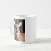 Mug Wildlife Whitetail Deer Doe Portrait (Devant gauche)