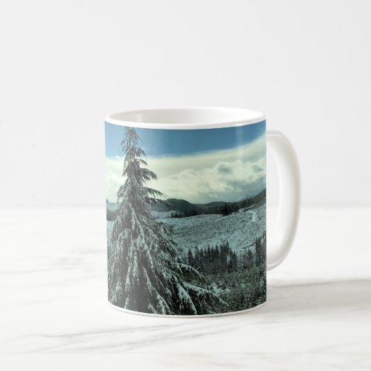 Mug Winter dans la Tillamook State Forest, Oregon (Devant droit)