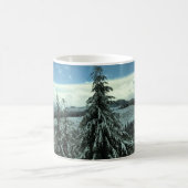 Mug Winter dans la Tillamook State Forest, Oregon (Centre)