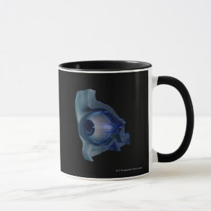 Mug wireframe 3d des muscles d'oeil dans une orbite
