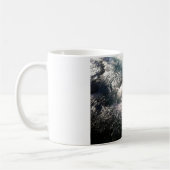 Mug Wizard Falls sur la rivière Metolius (Gauche)