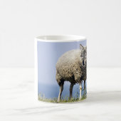 Mug Wolf in sheeps clothing (Centre)