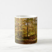 Mug Wolf Rocks Trail en automne Pennsylvanie Paysage (Centre)