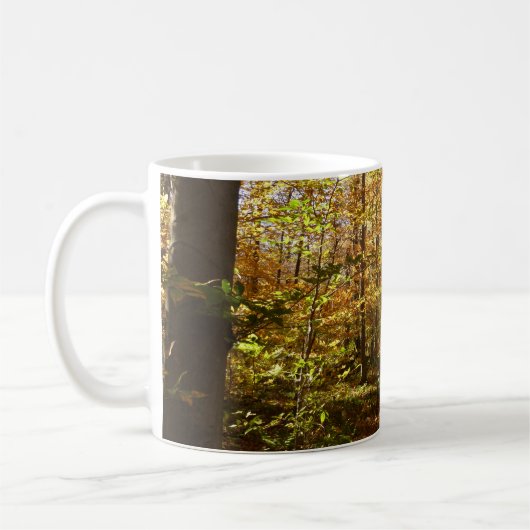 Mug Wolf Rocks Trail en automne Pennsylvanie Paysage (Gauche)