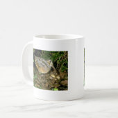 Mug Woodcock américain avec des oeufs (Devant gauche)