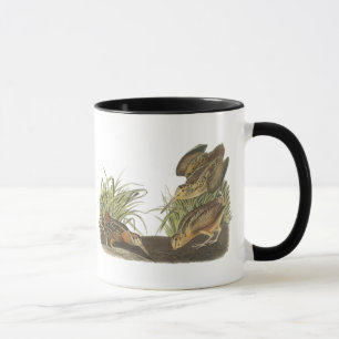 Mug Woodcock américain, copie de John Audubon