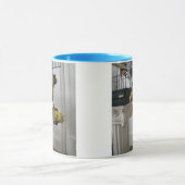 Mug Woof et Meow (Centre)