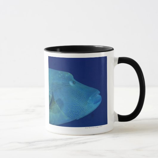 Mug Wrasse 2 de Humphead (Droite)