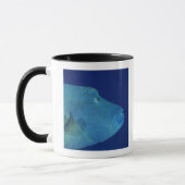 Mug Wrasse 2 de Humphead (Gauche)