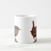 Mug Wren (Centre)