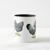 Mug Wyandottes Argent-a lacé des paires (Centre)