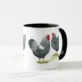Mug Wyandottes Argent-a lacé des paires (Devant droit)