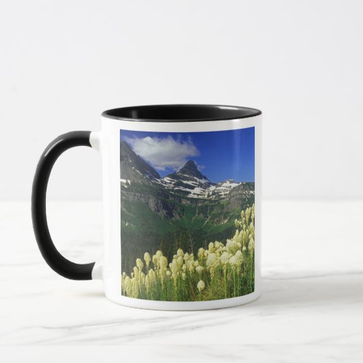 Mug Xerophyllum à Logan Pass dans le parc national de  (Gauche)