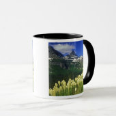 Mug Xerophyllum à Logan Pass dans le parc national de  (Devant droit)