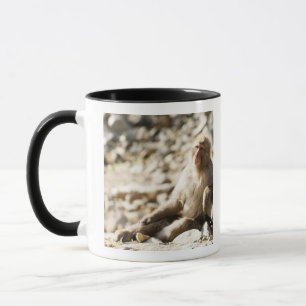 Mug Yamanouchi, Chubu, préfecture de Nagano, Japon 2