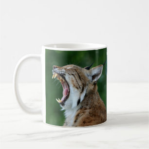 Mug Yawning Bobcat