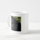 Mug yeux de noir-carlin (Devant gauche)