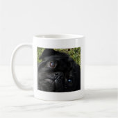 Mug yeux de noir-carlin (Gauche)