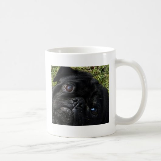 Mug yeux de noir-carlin (Droite)