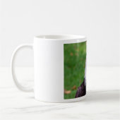 Mug Yeux d'un pygargue à tête blanche (Gauche)