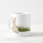 Mug Yorkshire Terrier (Devant gauche)