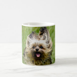 Mug Yorkshire Terrier mignon courant dans l'herbe