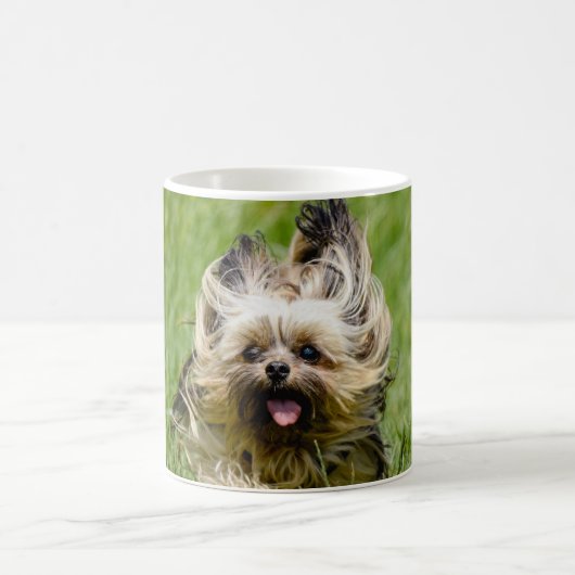Mug Yorkshire Terrier mignon courant dans l'herbe (Centre)