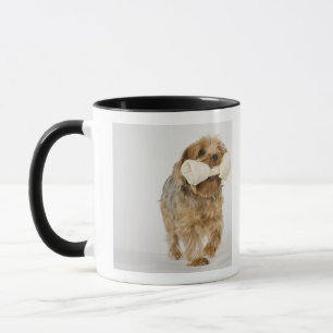Mug Yorkshire Terrier sur la marche blanche d'arrière