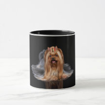Yorkshire Terrier sur le noir