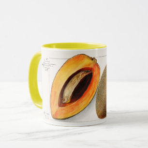 Mug Zapote