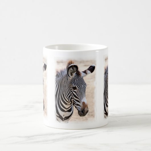 Mug Zebre de Grevy (Centre)