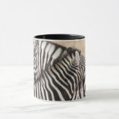 Mug Zèbres de Burchell faisant du jeu de combat (Centre)