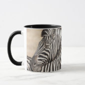 Mug Zèbres de Burchell faisant du jeu de combat (Gauche)