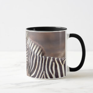 Mug Zèbres de la plaine, Parc national de Kruger