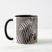 Mug Zèbres de la plaine, Parc national de Kruger (Gauche)