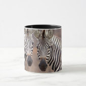 Mug Zèbres des plaines, Parc national Kruger (Centre)
