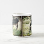 Mug "Zedonk " (Centre)