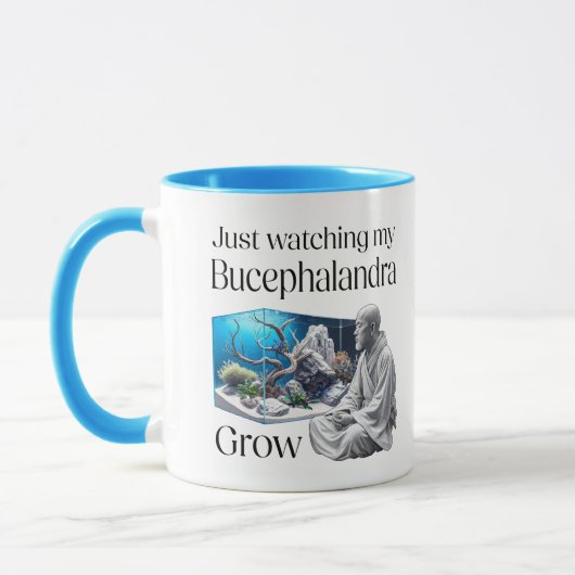 Mug Zen and Bucephalandra (Gauche)