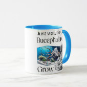 Mug Zen and Bucephalandra (Devant droit)