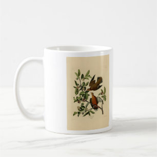 Mug Zenaida Dove de John Audubon's Birds of America