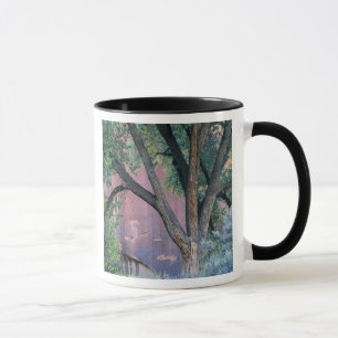 Mug Zone de loisirs national de Glen Canyon, Utah. Éta