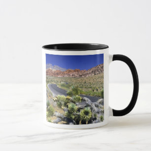 Mug Zone nationale de conservation de Red Rock Canyon,