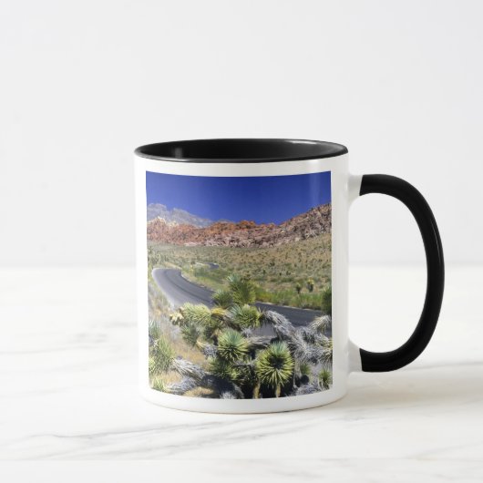 Mug Zone nationale de conservation de Red Rock Canyon, (Droite)