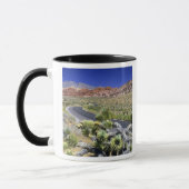 Mug Zone nationale de conservation de Red Rock Canyon, (Gauche)
