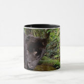 Mug Zoo de Belize City. Panthère noire (Centre)