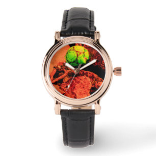 muggenontdekkingsreiziger horloge